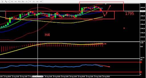 https://asset.onetrader.online/upload/file/1629820800000/1629866093816.jpeg