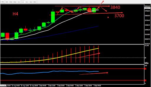 https://asset.onetrader.online/upload/file/1630598400000/1630651243743.jpeg