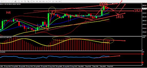 https://asset.onetrader.online/upload/file/1630857600000/1630902254005.jpeg