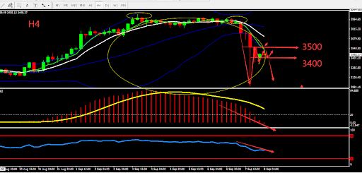 https://asset.onetrader.online/upload/file/1631030400000/1631082871529.jpeg