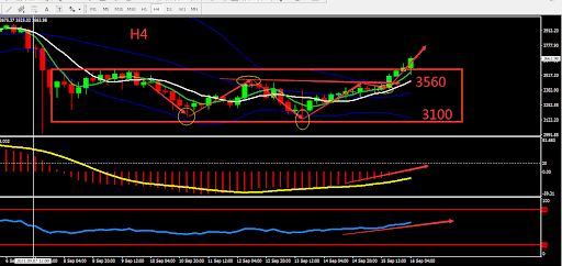 https://asset.onetrader.online/upload/file/1631721600000/1631773749193.jpeg