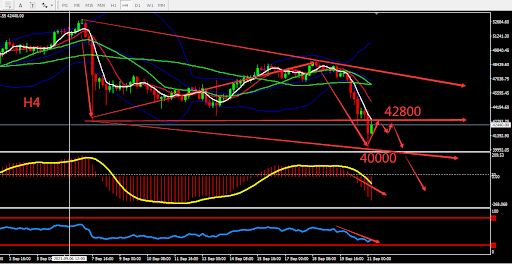 https://asset.onetrader.online/upload/file/1632153600000/1632206595050.jpeg