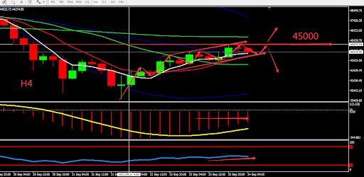 https://asset.onetrader.online/upload/file/1632412800000/1632466150314.jpeg