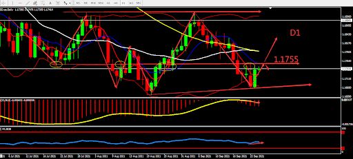 https://asset.onetrader.online/upload/file/1632412800000/1632466385650.jpeg