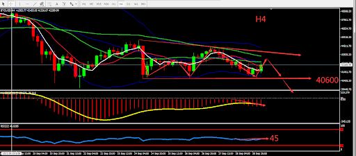 https://asset.onetrader.online/upload/file/1632844800000/1632897878717.jpeg