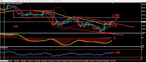 https://asset.onetrader.online/upload/file/1633276800000/1633320695888.jpeg