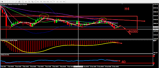 https://asset.onetrader.online/upload/file/1639411200000/1639463218139.png