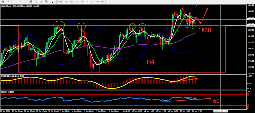 https://asset.onetrader.online/upload/file/1642953600000/1642998620795.png