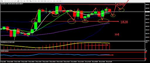 https://asset.onetrader.online/upload/file/1643040000000/1643086317424.png