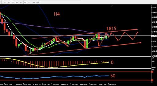 https://asset.onetrader.online/upload/file/1644163200000/1644208421839.jpeg