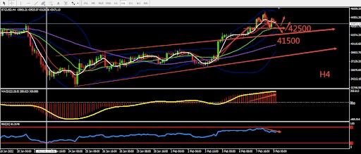 https://asset.onetrader.online/upload/file/1644336000000/1644388001332.jpeg