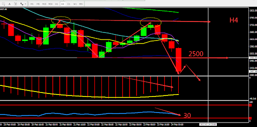 https://asset.onetrader.online/upload/file/1645632000000/1645676445725.png