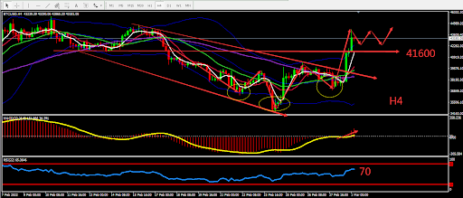 https://asset.onetrader.online/upload/file/1646064000000/1646115502005.png