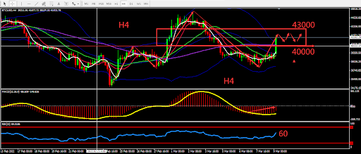 https://asset.onetrader.online/upload/file/1646755200000/1646807761504.png