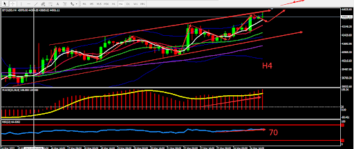 https://asset.onetrader.online/upload/file/1648137600000/1648190012465.png