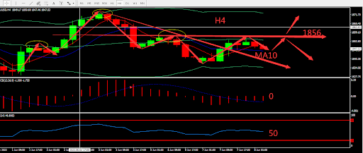 https://asset.onetrader.online/upload/file/1654617600000/1654663630438.707.png