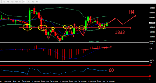 https://asset.onetrader.online/upload/file/1655654400000/1655699456997.765.png