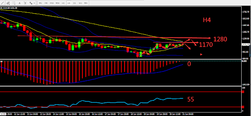 https://asset.onetrader.online/upload/file/1655740800000/1655794954005.556.png