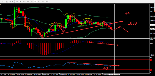 https://asset.onetrader.online/upload/file/1655827200000/1655870268856.202.png