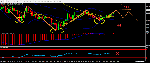 https://asset.onetrader.online/upload/file/1656000000000/1656045907975.715.png