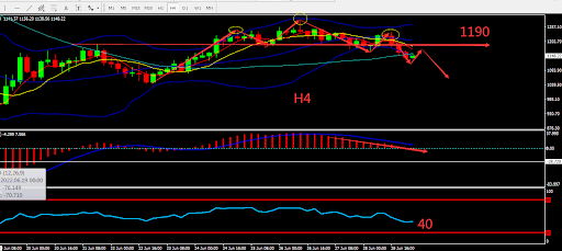 https://asset.onetrader.online/upload/file/1656432000000/1656484544676.400.png