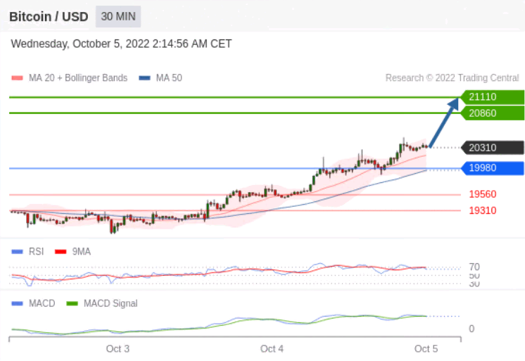 https://asset.onetrader.online/upload/file/1664899200000/1664934811826.png