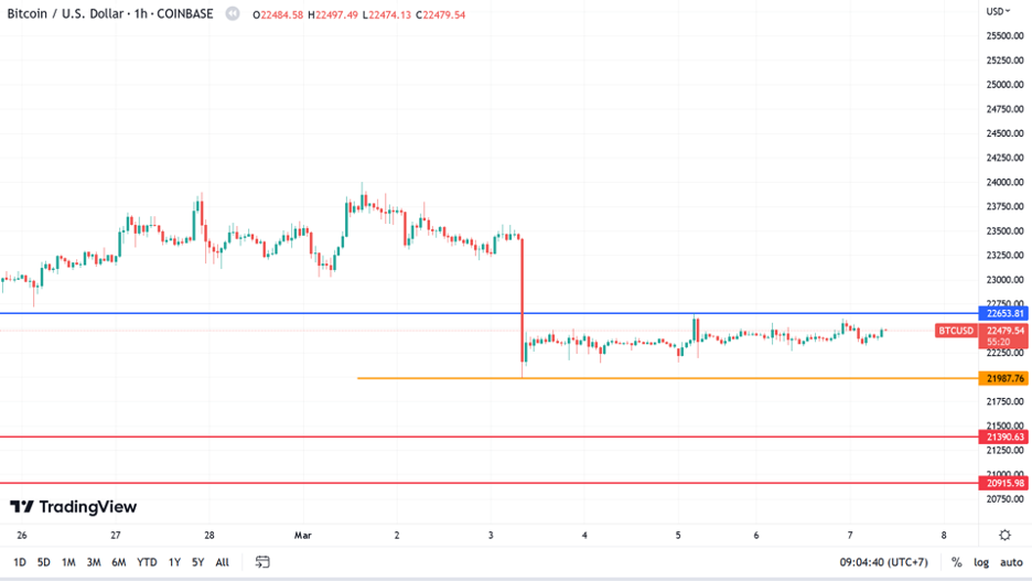 https://asset.onetrader.online/upload/file/1678118400000/1678162392528.png