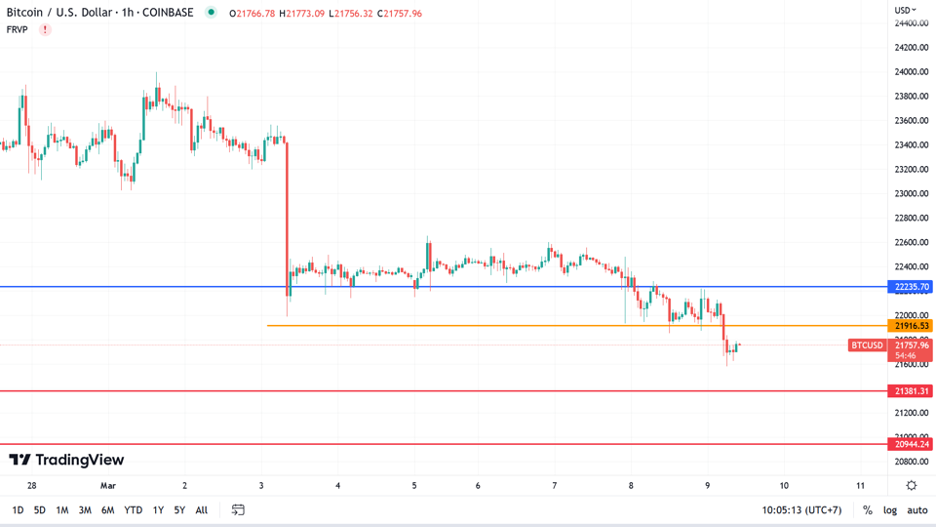 https://asset.onetrader.online/upload/file/1678291200000/1678336171025.png